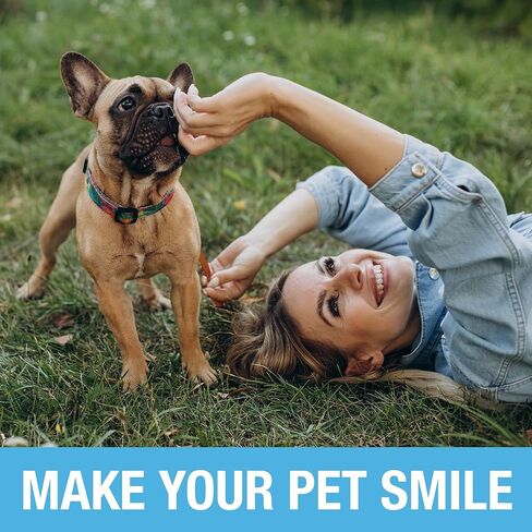 مجموعة تنظيف أسنان الكلاب بالموجات فوق الصوتية من تيلكير مع أداة تنظيف أسنان القطط بإضاءة LED مع 3 أوضاع للتنظيف، و4 رؤوس تنظيف ومنظف اللسان - مزيل جير الكلاب للأسنان in Kuwait