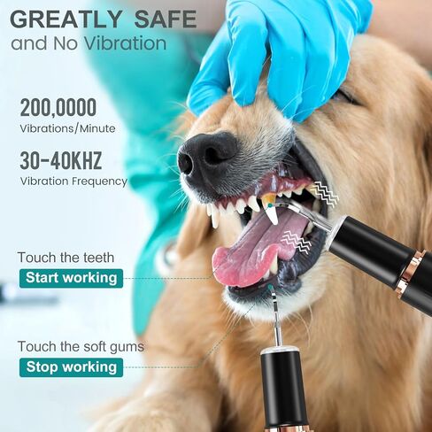 FAIRYLOVE Dog منظف فرشاة الأسنان بالموجات فوق الصوتية، مزيل لوحة الحيوانات الأليفة للأسنان مع 3 أوضاع و4 رؤوس تنظيف، مجموعة تنظيف أسنان الكلاب القابلة لإعادة الشحن لإزالة الجير للكلاب والقطط للأسنان in Kuwait