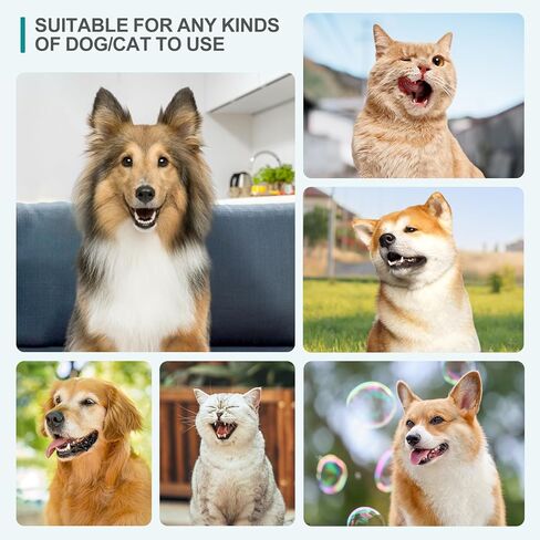 FAIRYLOVE Dog منظف فرشاة الأسنان بالموجات فوق الصوتية، مزيل لوحة الحيوانات الأليفة للأسنان مع 3 أوضاع و4 رؤوس تنظيف، مجموعة تنظيف أسنان الكلاب القابلة لإعادة الشحن لإزالة الجير للكلاب والقطط للأسنان in Kuwait