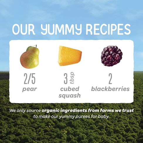 Happy Baby Organics Stage 2 Baby Food Pouches, Gluten Free, Vegan & Healthy Snack, Clearly Crafted Fruit & Veggie Puree, Pear Squash & Blackberries, 4 Ounces (Pack of 1) in Saudi Arabia