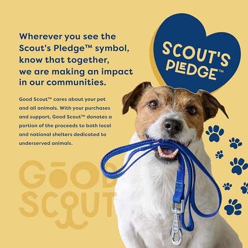 مقود الكلاب ذو المقبض المبطن من Good Scout، مقود متين للمشي والتدريب للجراء والكلاب البالغة بمقبضين، أزرق/أحمر الخدود in Kuwait