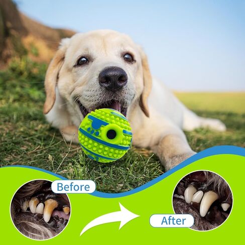 xfrjk 2 حزمة تمايل الضحك الكرة للكلاب 2.75in التفاعلية لعبة الكلب الصغيرة الكرة، كرات شائكة جذب الانتباه عند هزها أو لفة، الكلب لعبة اللعب الذاتي لتدريب تنظيف الأسنان الكلب هدية in Kuwait