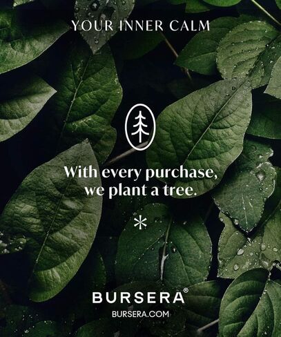 طبق سيراميك أونيكس من بورسيرا، شجرة مزروعة مع كل طلب، وعاء حرق ملطخ للمريمية، خشب بالو سانتو، شكل للشموع، حاوية الشموع، لطخة، ديكور وموقد بخور in Kuwait