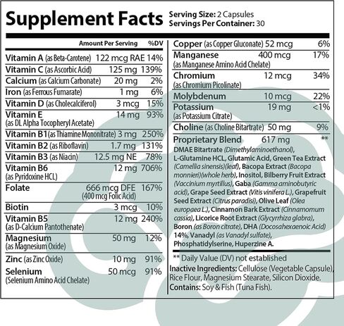 ADDOT WELLLIFE Neuro Brain - مكمل Nootropics Brain لذاكرة ألفا الدماغية ومكملات التركيز - دعم الدماغ لتحسين الذاكرة والتركيز والوضوح in Kuwait