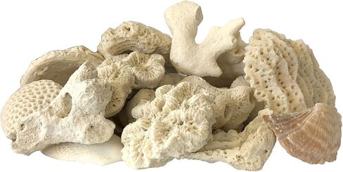 AquaNatural Marine Accents Ocean 4 fl oz for Reef Tank and Aquarium, Decor, Shells, fossilized Corals and Aragonite, (ACCENT002) in Kuwait