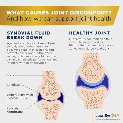 تركيبة LubriSynHA حمض الهيالورونيك للحيوانات الأليفة والخيول 64oz - هيالورونان سائل طبيعي بالكامل وعالي الوزن الجزيئي - دعم مشترك للخيول والكلاب والقطط - يعزز وظيفة المفاصل الصحية، صنع في الولايات المتحدة الأمريكية in Kuwait