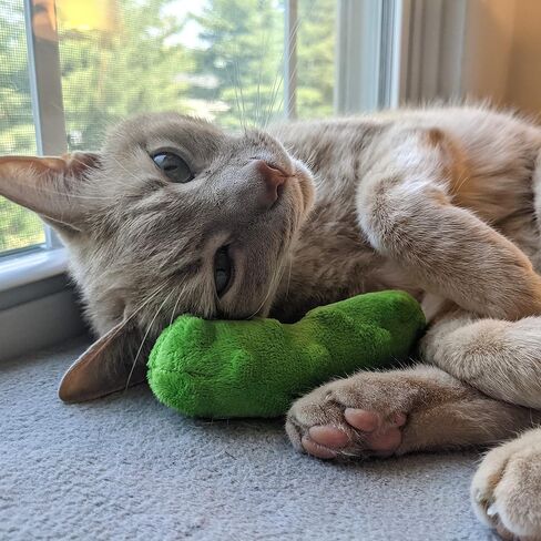 Huxley & Kent Cat Toy | Pickle | Snack Attack Strong Catnip Filled Cat Toy | Soft Plush Kitty Toy with Catnip and Crinkle | Kittybelles in Saudi Arabia