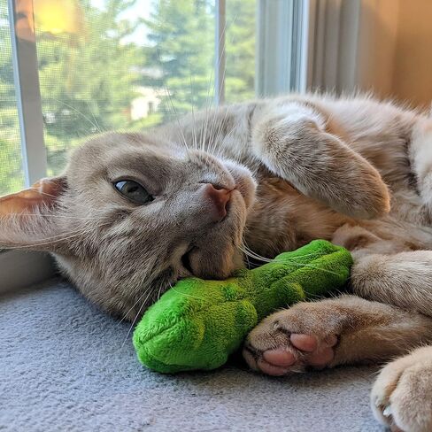 Huxley & Kent Cat Toy | Pickle | Snack Attack Strong Catnip Filled Cat Toy | Soft Plush Kitty Toy with Catnip and Crinkle | Kittybelles in Saudi Arabia