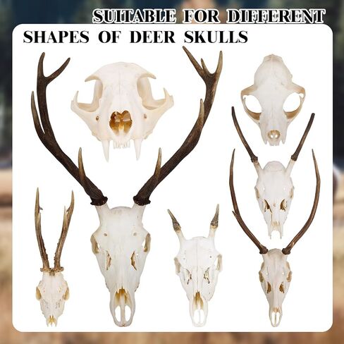 Hicarer 2 قطعة شماعة جمجمة فولاذية على شكل غزال أوروبي مع تركيب سهل وبسيط للعبة الحائط Taxidermy Elk Antler Moose Buffalo Cattle Caribou عرض داخلي وخارجي، أسود in Saudi Arabia
