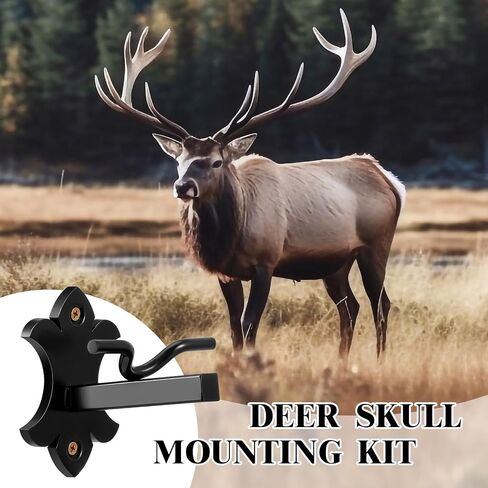 Hicarer 2 قطعة شماعة جمجمة فولاذية على شكل غزال أوروبي مع تركيب سهل وبسيط للعبة الحائط Taxidermy Elk Antler Moose Buffalo Cattle Caribou عرض داخلي وخارجي، أسود in Saudi Arabia