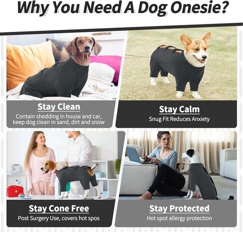 kuoser الكلب الانتعاش دعوى طويلة الأكمام الكلب ذرف ارتداءها، ذكر أنثى الكلب نيسيي لمرحلة ما بعد الجراحة، لينة الكلب التعقيم دعوى محايد مكافحة لعق الكلب pjs، حماية الحساسية بقعة ساخنة، رمادي s in Kuwait