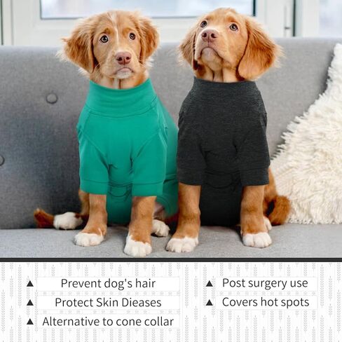 kuoser الكلب الانتعاش دعوى طويلة الأكمام الكلب ذرف ارتداءها، ذكر أنثى الكلب نيسيي لمرحلة ما بعد الجراحة، لينة الكلب التعقيم دعوى محايد مكافحة لعق الكلب pjs، حماية الحساسية بقعة ساخنة، رمادي s in Kuwait