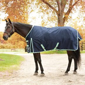 SmartPak Classic 600D Turnout Horse Blanket-81-Lite (0g)-Navy w/Mint Trim
