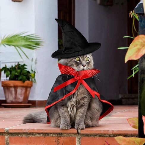 2 Pieces Halloween Cat Costume Pet Vampire Cloak Witch Cape and Hat for Cat Kitten Puppy Cosplay Halloween Party Supplies in Saudi Arabia