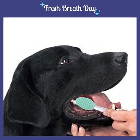 انتول راس ناعم من السيليكون للحيوانات الاليفة مع فرشاة اسنان لتنظيف اسنان الكلاب والقطط والعناية الصحية (4 حدائق) in Kuwait