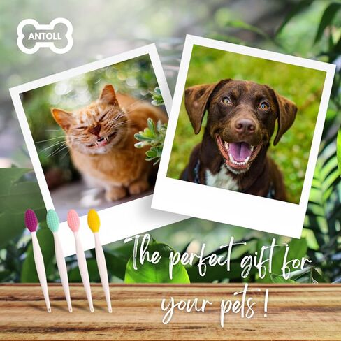 انتول راس ناعم من السيليكون للحيوانات الاليفة مع فرشاة اسنان لتنظيف اسنان الكلاب والقطط والعناية الصحية (4 حدائق) in Kuwait