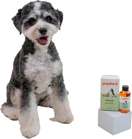 محلول اللثة ونظافة الفم من بوبفورد، يقلل من البلاك والجير، ويدعم تنظيف الأسنان وصحة اللثة، وينعش التنفس، ومضافات الماء، زجاجة 118 مل in Kuwait