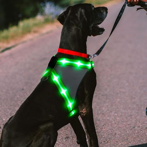 ChalkLit Light Up Dog Harness، عاكس Led Dog Harness يتوهج في الظلام للمشي ليلاً، سترة أمان للكلاب مضاءة قابلة للشحن عبر USB للكلاب المتوسطة، شبكة ناعمة قابلة للتعديل بدون سحب (أخضر، كبير) in Saudi Arabia