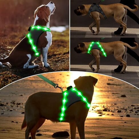 ChalkLit Light Up Dog Harness، عاكس Led Dog Harness يتوهج في الظلام للمشي ليلاً، سترة أمان للكلاب مضاءة قابلة للشحن عبر USB للكلاب المتوسطة، شبكة ناعمة قابلة للتعديل بدون سحب (أخضر، كبير) in Saudi Arabia