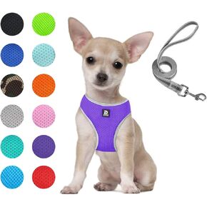 Puppy Harness and Leash Set- XS and Small Dog Harness- Soft Mesh Halter- Adjustable Reflective Teacup Dog Harness- No Pull No Choke (XS, Pink) in Saudi Arabia