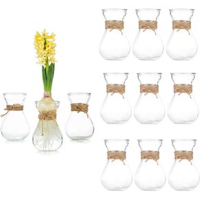 Glasseam Clear Glass Vase for Flowers, Set of 12 Bulb Vase for Forcing Hyacinth Bulbs, Small Vases for Centerpieces, Decorative Bud Flower Vase for Home Decor Living Room Wedding Table Decorations