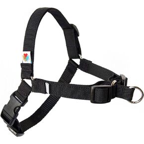 Wildebeest No Pull Dog Harness | Comfortable Training Harnesses | Effective No Pull Harness Design | Ideal for Small Dog and Puppy | 4-Point Adjustable (S - 18~24 inch Girth, Fuchsia)