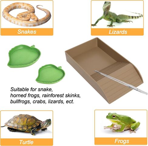 Reptile Feeding Dish with Ramp and Basking Platform Turtle Food Water Bowl Amphibians Habitat Horned Frogs Lizards Fit for Bath, Included 1PC Forcep in Kuwait