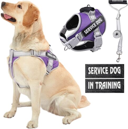 سرج سترة للكلاب من HUSDOW، بدون سحب لتدريب الكلاب بمقبض ومقود للكلاب بطول 5 أقدام، قابل للتعديل وعاكس بدون صدمات للحيوانات الأليفة الصغيرة والمتوسطة والكبيرة للمشي والجري (أحمر، مقاس M) in Kuwait