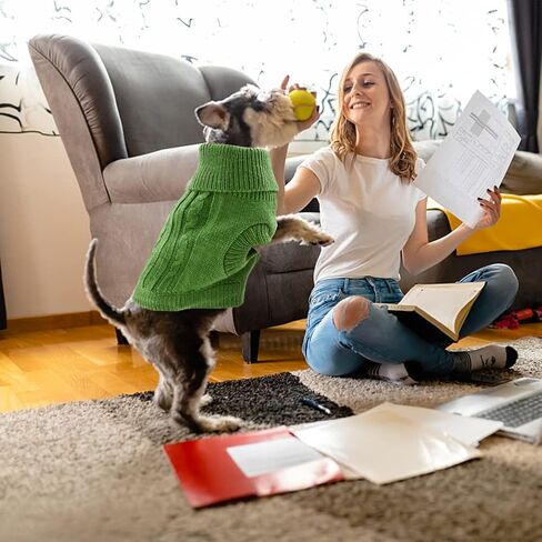 الياقة المدورة الكلب البلوز، سترة جرو دافئة للكلاب الصغيرة المتوسطة الشتاء محبوك الكلب البلوز لينة الكلب الملابس سترة للحيوانات الأليفة الخريف، الزي الشتوي لفصيل كورجي الويلزية، يوركشاير الكلب، البيجل (M، الأخضر) in Kuwait