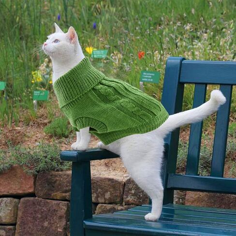 الياقة المدورة الكلب البلوز، سترة جرو دافئة للكلاب الصغيرة المتوسطة الشتاء محبوك الكلب البلوز لينة الكلب الملابس سترة للحيوانات الأليفة الخريف، الزي الشتوي لفصيل كورجي الويلزية، يوركشاير الكلب، البيجل (M، الأخضر) in Kuwait