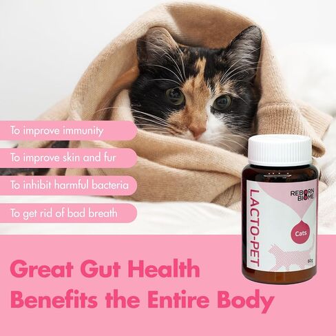 Lacto Pet, Vegetable Cat Probiotics Powder and Digestive Enzymes - Pollock Flavor, Probiotics and Prebiotics, Helps Maintain Gut Health, Supports Digestion, Immunity & Overall Health, 2.1oz. in Saudi Arabia