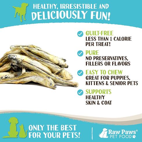 Raw Paws Smelt Freeze Dried Minnows for Cats & Dogs, 2-oz - Minnows for Dogs - Freeze Dried Cat Treats - Minnow Treats for Dogs - Fish Dog Treats - Freeze Dried Minnows for Cats - Raw Cat Treats in Saudi Arabia