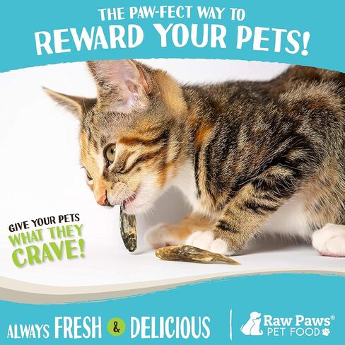 Raw Paws Smelt Freeze Dried Minnows for Cats & Dogs, 2-oz - Minnows for Dogs - Freeze Dried Cat Treats - Minnow Treats for Dogs - Fish Dog Treats - Freeze Dried Minnows for Cats - Raw Cat Treats in Saudi Arabia