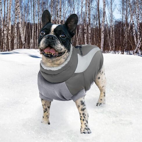 BRKURLEG سترات للكلاب الكبيرة، معطف شتوي عاكس للكلاب، معاطف للطقس البارد للكلاب، ملابس دافئة للكلاب، سترة منتفخة مضادة للماء للكلاب، معاطف للكلاب، ذهبي، راعي، مسترد، رمادي 2XL in Kuwait