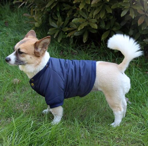 Fleece Lined Dog Coat with Detachable Hood and Detachable Hind Legs,Warm Puppy Jacket in Winter(Red M) in Saudi Arabia