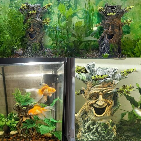 Tfwadmx Fish Tank Tree Trunk Decoration Accessories Aquarium Tree Statue Hollow Stump Root Branch Hideout Freshwater Saltwater Ornament for Fighting Fish, Hermit Crabs, Crayfish, SuckerFish, Guppy in Saudi Arabia