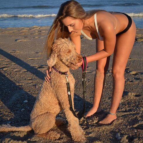 Black Rhino – Dog Leash Adjustable Length (3-5 Feet) with Soft Neoprene Padded Handle | Heavy Duty Lead for Easy Control | Small Medium Large Breeds | Reflective Stitching (Aqua/Grey) in Kuwait