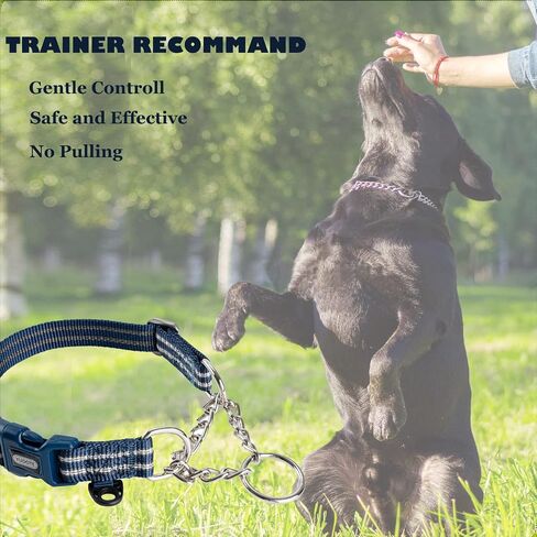Reflective Nylon Dog Collar with Breathable Neoprene Padding,Adjustable for Small Dogs.(9.8"-15",Lilac Purple) in Saudi Arabia