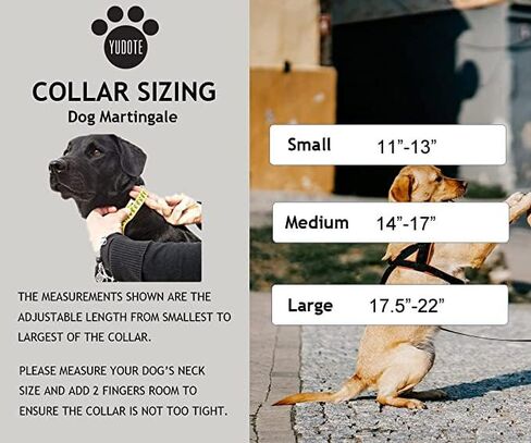 Reflective Nylon Dog Collar with Breathable Neoprene Padding,Adjustable for Small Dogs.(9.8"-15",Lilac Purple) in Saudi Arabia