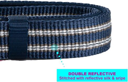 Reflective Nylon Dog Collar with Breathable Neoprene Padding,Adjustable for Small Dogs.(9.8"-15",Lilac Purple) in Kuwait