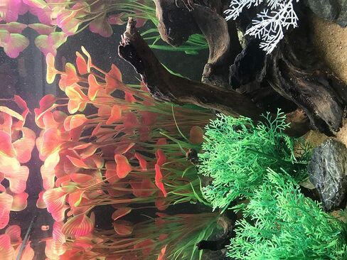 BEGONDIS 2 Pcs Aquarium Decorations Fish Tank Artificial Water Plants Made of Soft Plastic in Kuwait