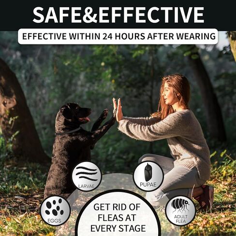 4 عبوات من أطواق البراغيث للكلاب، وياقة برغوث الكلاب والقراد لمدة 32 شهرًا لعلاج البراغيث والقراد للكلاب، وطوق مقاوم للماء وبراغيث الكلاب قابل للتعديل وطوق منع القراد لجرو كلب صغير ومتوسط ​​وكبير، أسود in Kuwait