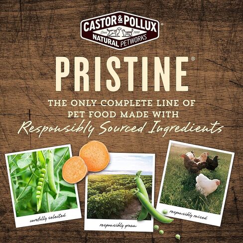 Castor & Pollux Pristine Grain Free Small Breed Grass-Fed Lamb Stew Canned Dog Food, (12) 3.5oz cans in Kuwait