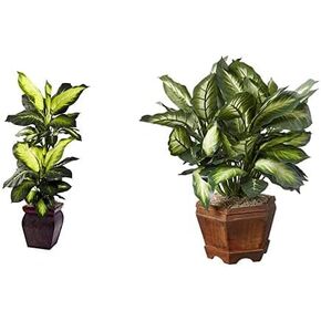 نيرلي ناتشورال وعاء زراعة ديكوري من جولدن ديفنباخيا، اخضر in Kuwait