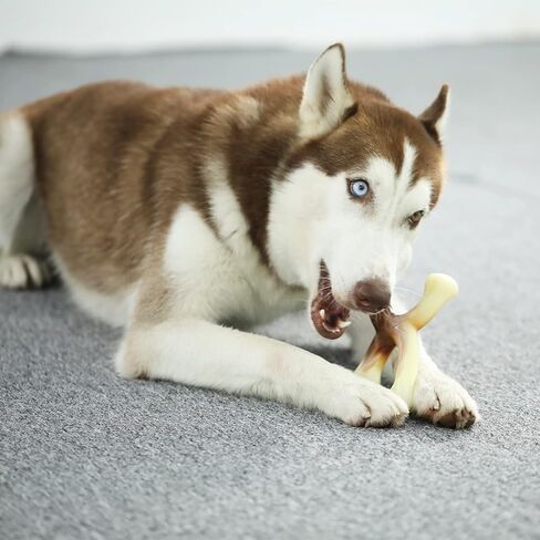 لعبة مضغ الكلب المتينة من تيكاتون إكس بون للمضغ العدواني، نكهة لحم الخنزير المقدد، متوسطة in Kuwait