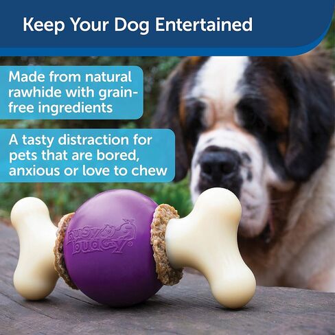 PetSafe Busy Buddy Bouncy Bone - ألعاب تحمل المكافآت للكلاب - معطرة لتعزيز التحفيز الحسي - مكونات تم اختبارها بدقة - للمضغين العدوانيين - تتضمن حلقات المكافآت - أرجواني، كبير in Kuwait