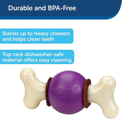 PetSafe Busy Buddy Bouncy Bone - ألعاب تحمل المكافآت للكلاب - معطرة لتعزيز التحفيز الحسي - مكونات تم اختبارها بدقة - للمضغين العدوانيين - تتضمن حلقات المكافآت - أرجواني، كبير in Kuwait
