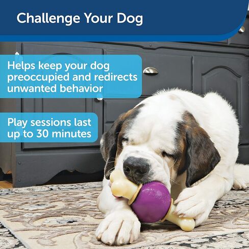 PetSafe Busy Buddy Bouncy Bone - ألعاب تحمل المكافآت للكلاب - معطرة لتعزيز التحفيز الحسي - مكونات تم اختبارها بدقة - للمضغين العدوانيين - تتضمن حلقات المكافآت - أرجواني، كبير in Kuwait