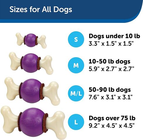 PetSafe Busy Buddy Bouncy Bone - ألعاب تحمل المكافآت للكلاب - معطرة لتعزيز التحفيز الحسي - مكونات تم اختبارها بدقة - للمضغين العدوانيين - تتضمن حلقات المكافآت - أرجواني، كبير in Kuwait