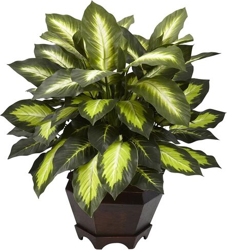 نيرلي ناتشورال وعاء زراعة ديكوري من جولدن ديفنباخيا، اخضر in Kuwait